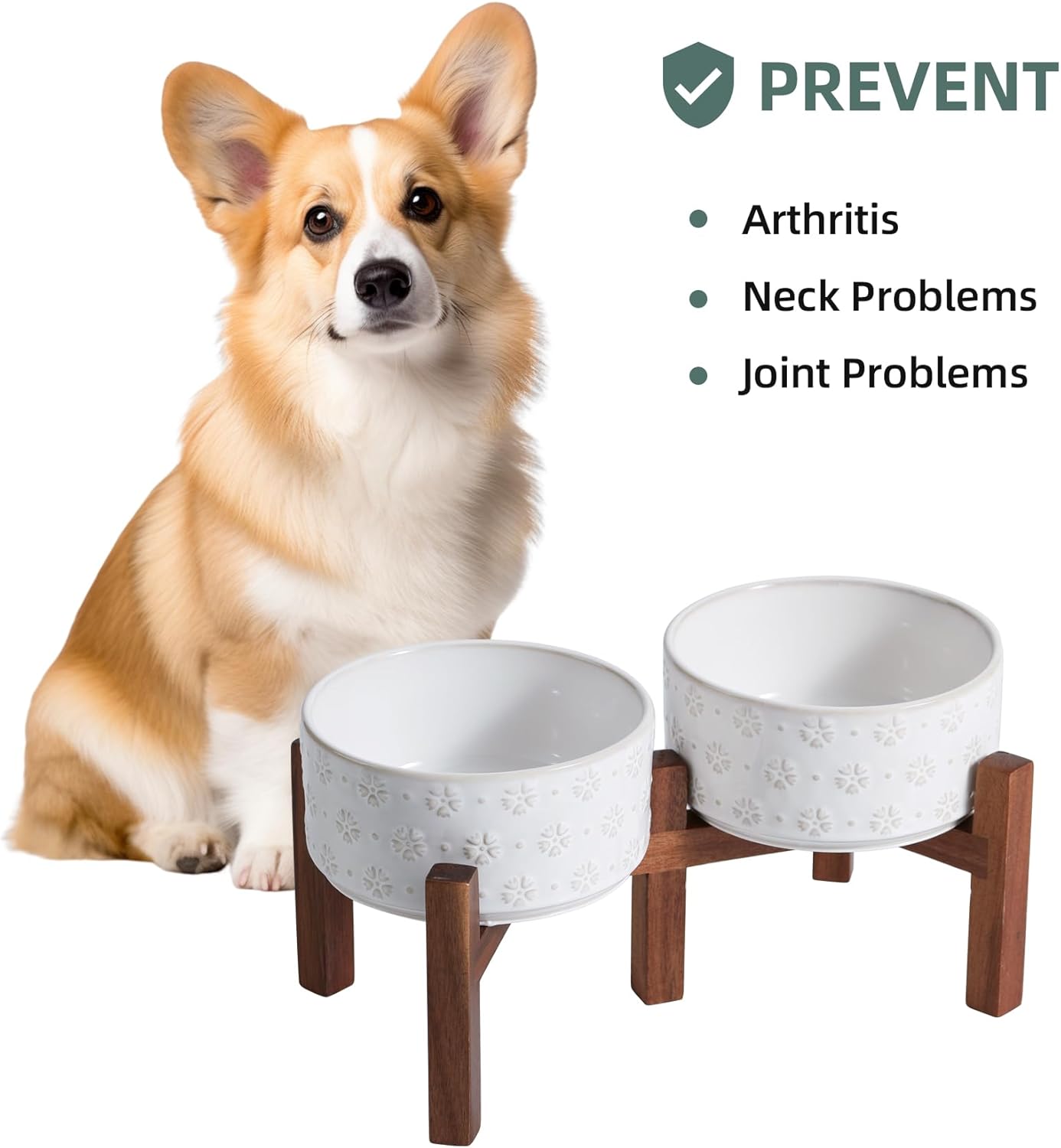 6.1inch Ceramic Raised Double Bowls Set with Acacia Wood Stand, 2 Heights Elevated, Food & Water Bowls for Small Breed Dogs, Weighted Dog Dishes, Pet Bowl(27oz, Arctic White)