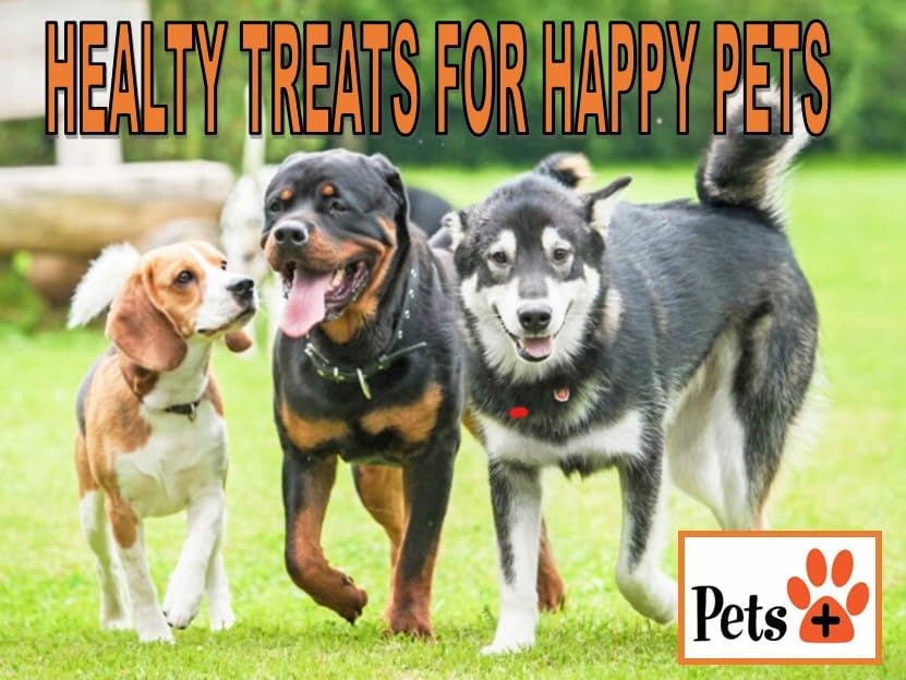 Pets Plus Beef Gullet Jerky Dog Treats ā Medium Size, 6-Inch, 8-Pack ā All Natural, High Protein, Grain-Free Chews for Dogs, Easily Digestible, Great for Dental Health & Joint Support