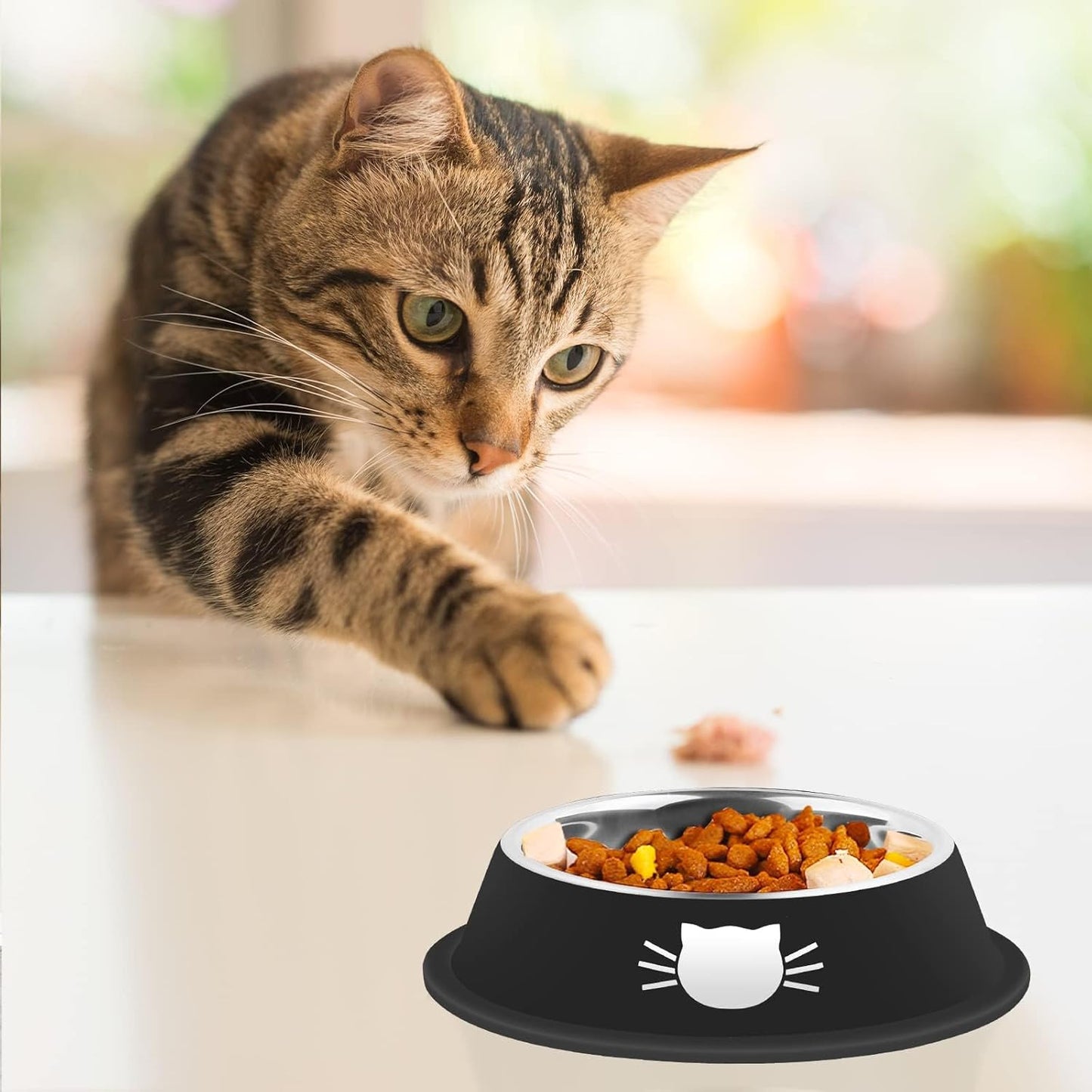 2Pcs Cat Bowls Non-Slip Stainless Steel Small Cat Food Bowls Unbreakable Thicken Cat Feeder 7 Oz Cat Dishes Suitable for Indoor Small Pets Removable Rubber Base Easily Clean Lovely Color