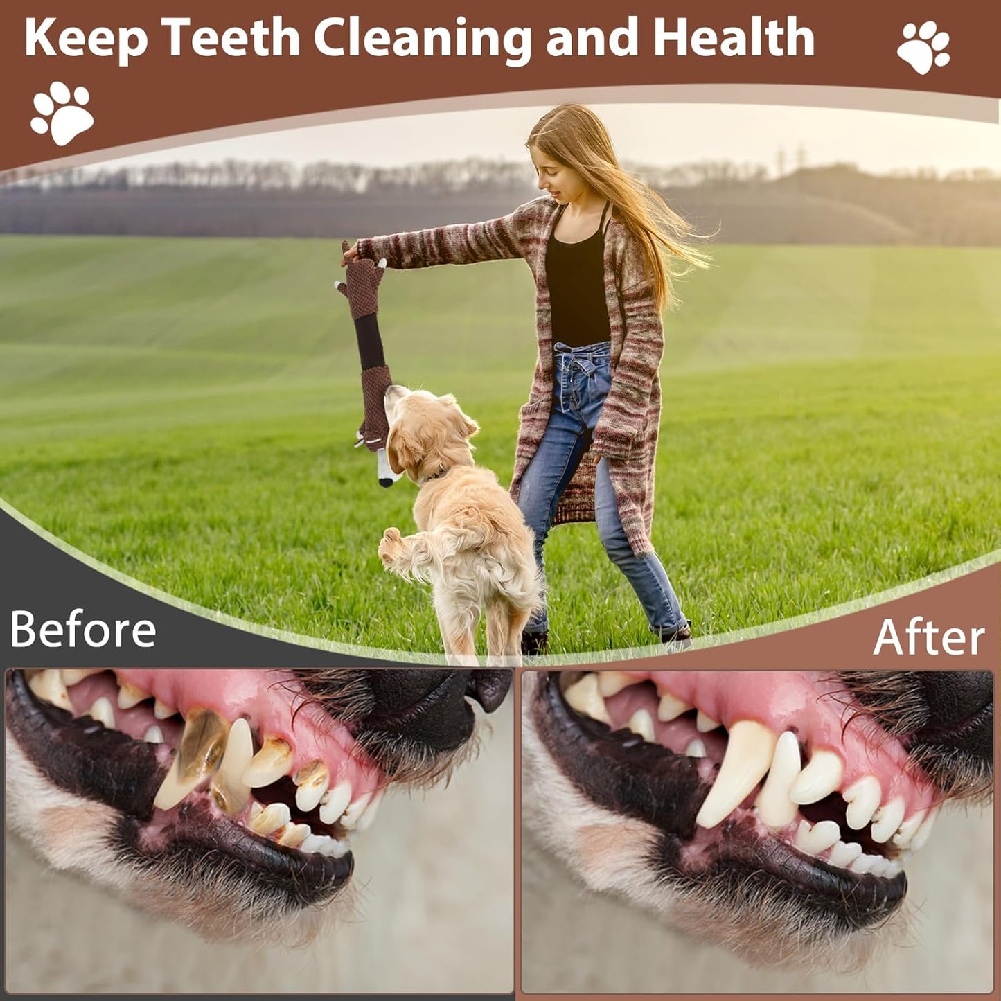 Squeaky Dog Toys with Crinkle Paper, Tough Puppy Toys and Plush Dog Chew Toy, Interactive Tug of War Dog Toy for Small, Medium and Large Breed Dogs