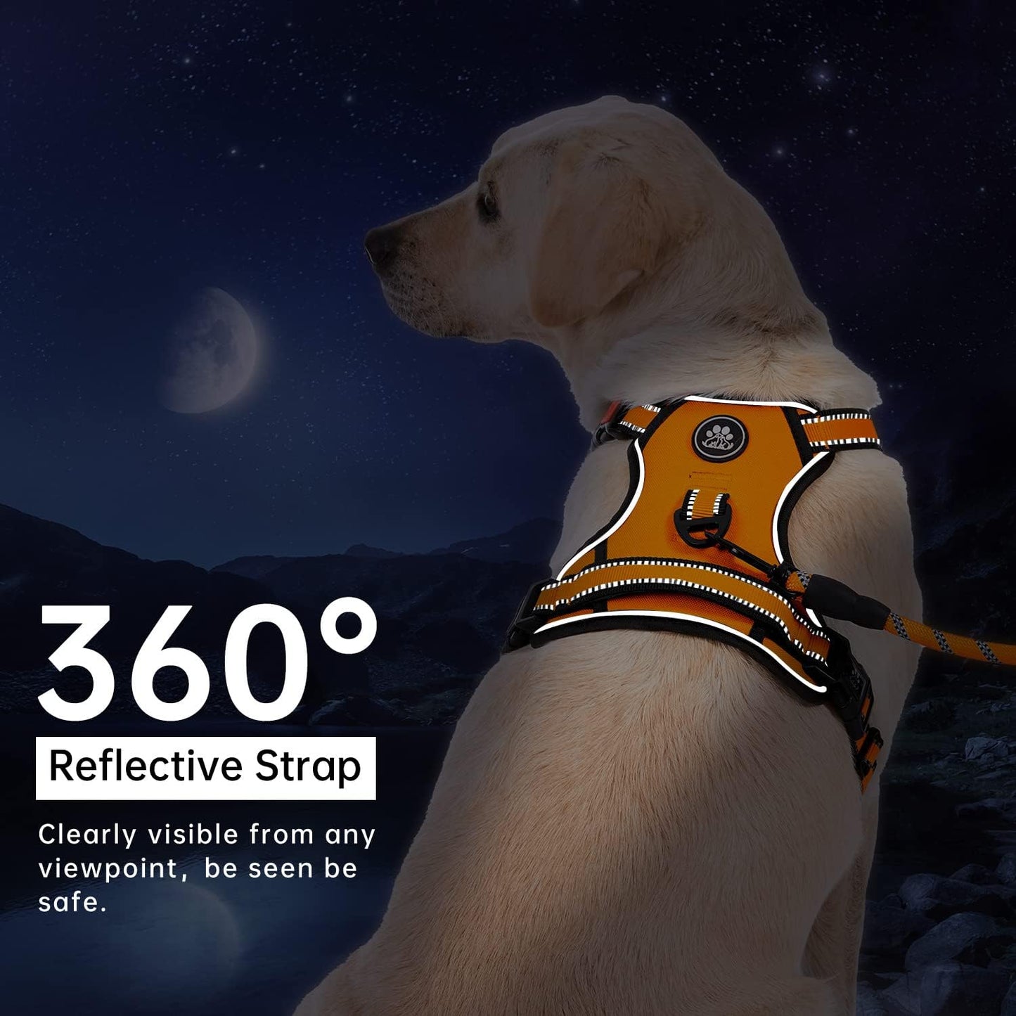 IVY&LANE No Pull Dog Harness for Large Dogs, Dog Vest Harness with Leash, Safety Belt and Storage Strap, Fully Adjustable Harness, 360° Reflective Strip, Soft Handle (Orange, L)