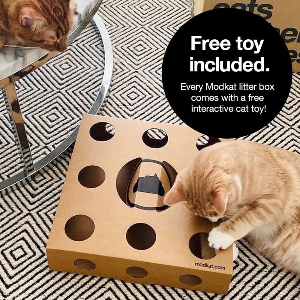 Modkat® XL Litter Box, Top or Front-Entry Configurable, Full Height Seamless Base, Reusable Litter Liners, Sifting Litter Scoop, 2X Bamboo Charcoal Filters - White