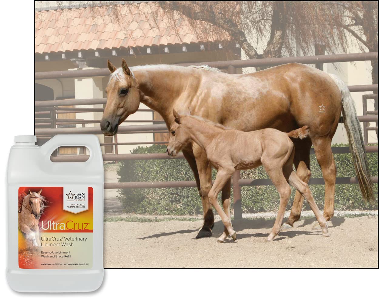 UltraCruz® Veterinary Liniment Wash for Horses, 1 gal Refill