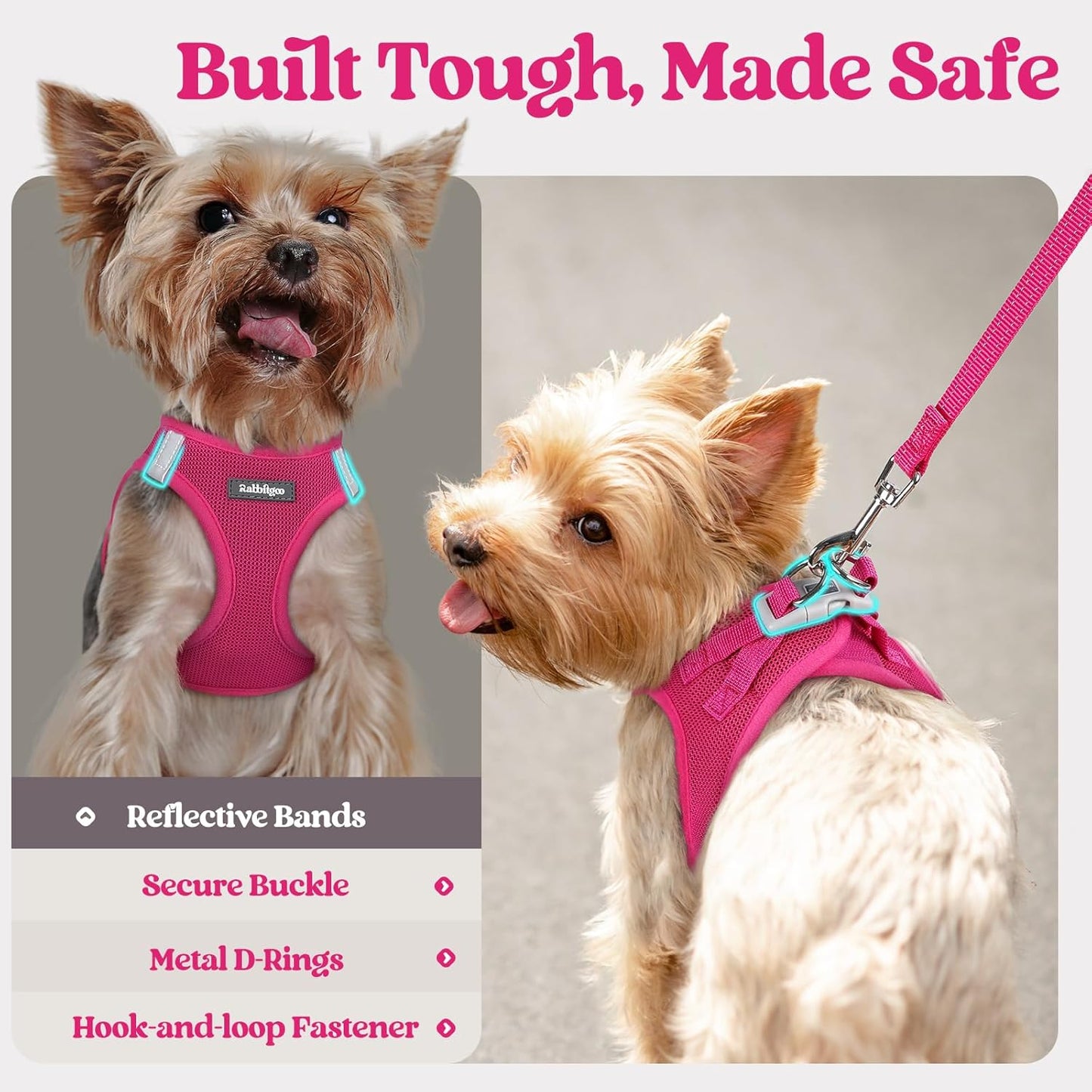 rabbitgoo Dog Harness Small Sized and Leash Set, Step in Soft Light Puppy Vest, Breathable Mesh Pet Harness, Reflective for Safe Easy Walking, Rosa Red XXXS