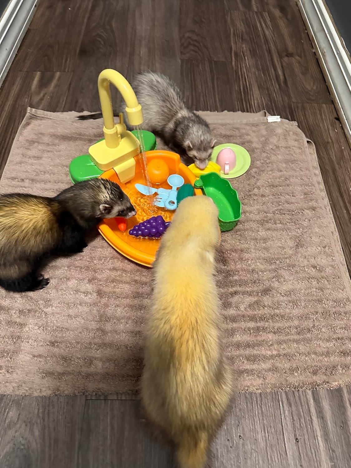 Parrot Bath Shower, Bird Bath for Cage, Automatic Bird Bathtub Pet Bath Pool with Faucet, Bird Fountain Swimming Pool Toy Bath Shower Water Dispenser for Ferret, Love Bird, Goldfinch (Orange)