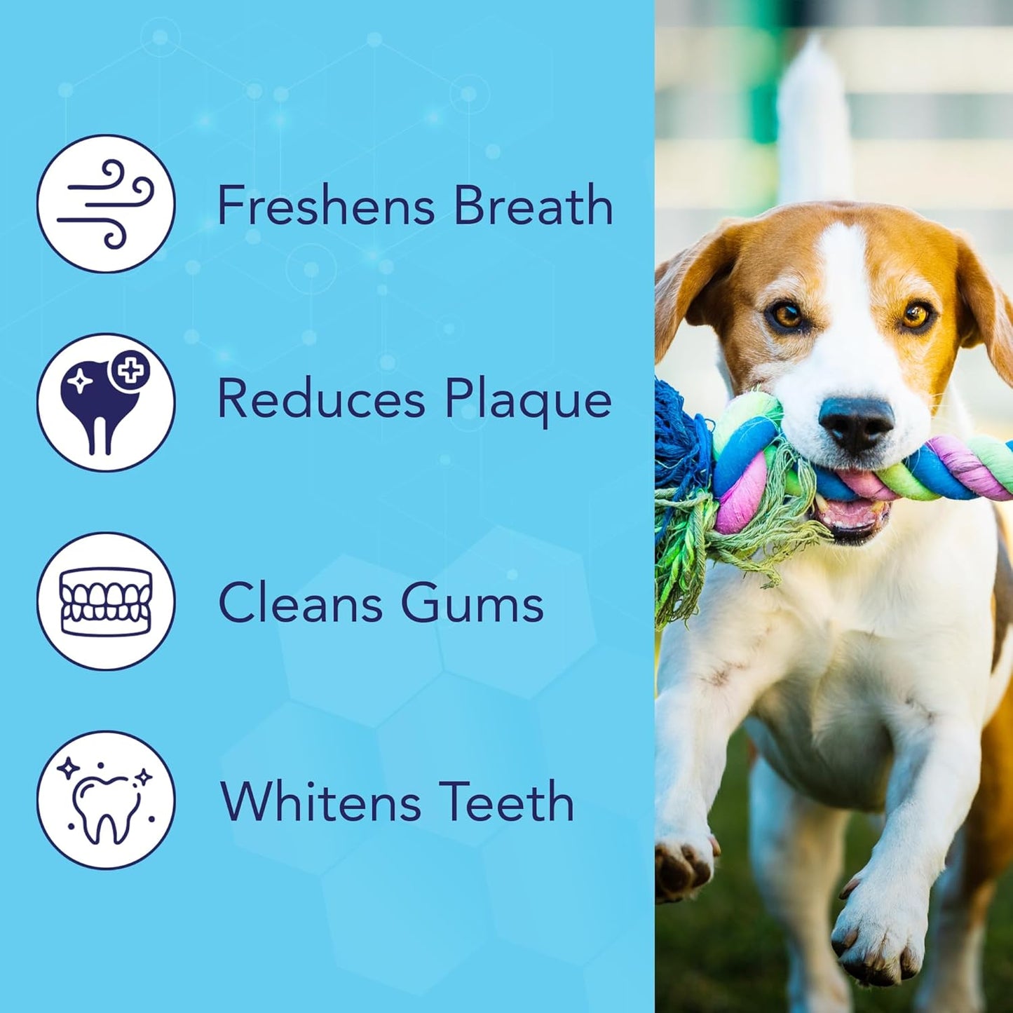 NOVEHA Pets Dental Finger Wipes for Dogs & Cats | Freshens Breath, Reduces Plaque | Healthier Gums | Clean Teeth No Toothbrush | Vet Recommended Effective Natural Oral Care (100 pcs, Flavor-Free)