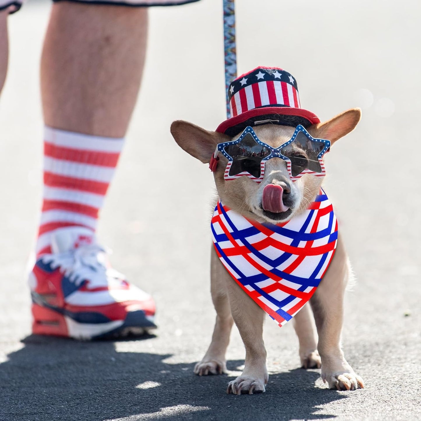 72 Pcs Veterans Day Dog Bandanas Bulk Patriotic Triangle Scarf Cat Puppy Bibs Scarf Blue White and Red Pet Bandanas for Puppy Cat Birthday Party Costume