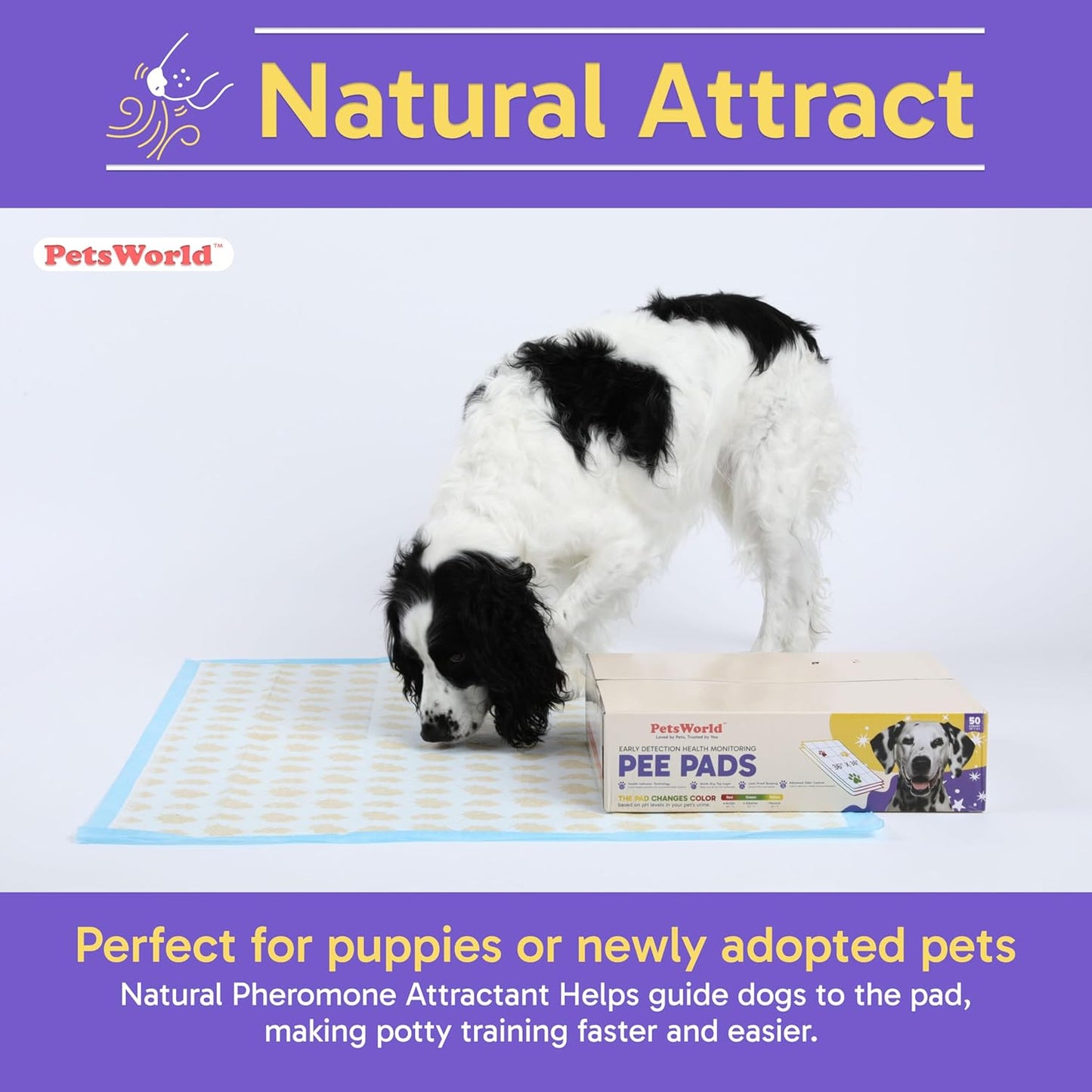 PETSWORLD Giant Dog Potty Pads, Odor-Eliminating, 36" x 36", Ultra Absorbent 5-Layer Leak-Proof Training Pads for Dogs & Cats (36x36 Health Indicating, 50 Count)