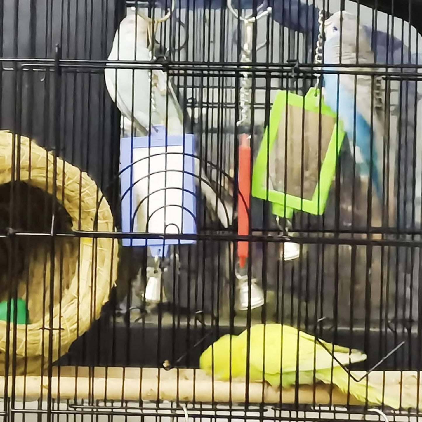 1Pc Random Color Pet Bird Mirror with Bell Interactive Parrot Toys for Budgies Parakeets Conures, Pet Supplies