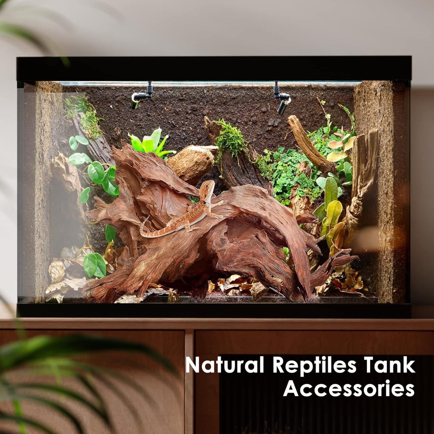 Natural Small Aquarium Driftwood for Fish Tanks & Reptile Terrariums – 100% Safe Fish Tank Decorations, Unique Twisted Branches 5-Piece 4-8 Inch Low Tannin, Easy to Sink