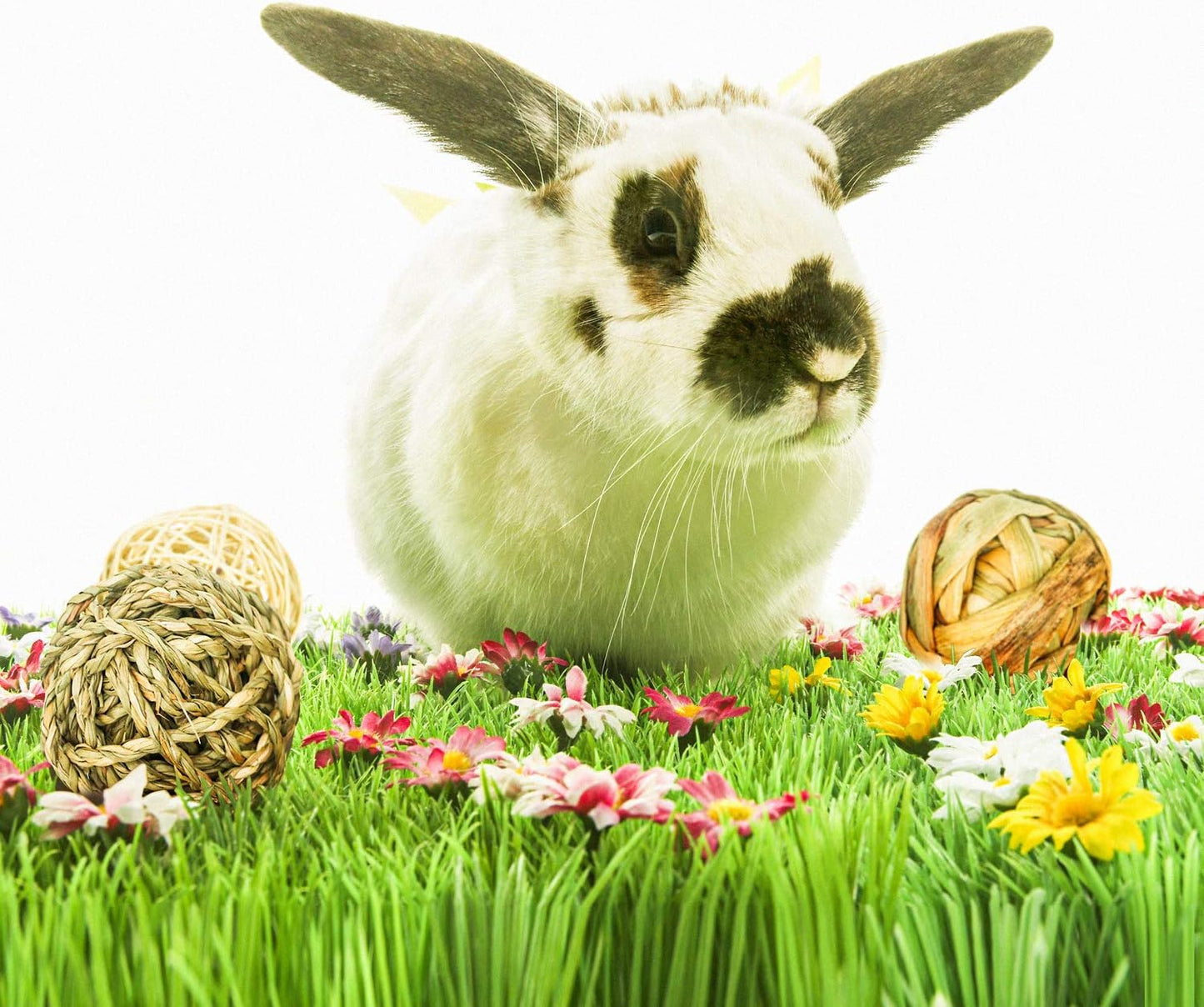 9 Pcs Small Animals Play Balls Rolling Activity Chew Toys Gnawing Treats for Rabbits Guinea Pigs Chinchilla Bunny Natural Balls, Pet Cage Entertainment Accessories (9 Pcs)