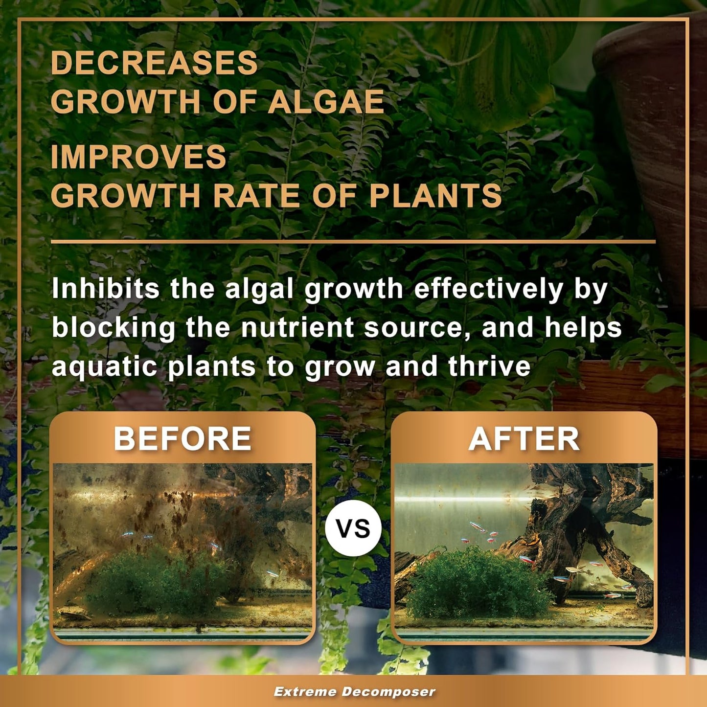 AZOOPLUS BIO XD Extreme Decomposer Nitrifying Bacteria for Freshwater and Saltwater Fish Tank 8.45 Ounces