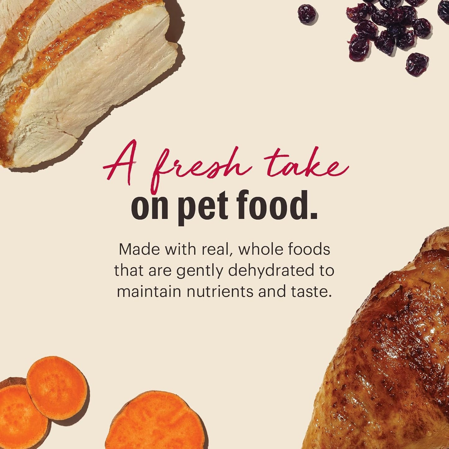 The Honest Kitchen Dehydrated Grain Free Turkey Cat Food, 4 lb Box