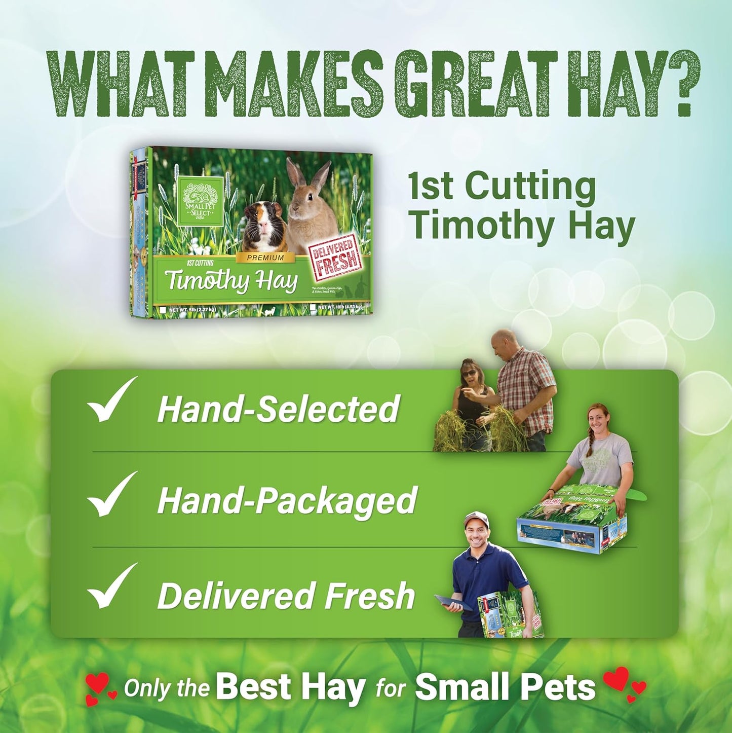 Small Pet Select 1st Cutting Timothy Hay, Animal Food for Guinea Pig, Rabbit, Hamster, Bunny, or Chinchilla, Natural Hay Grown in the USA, 20lb