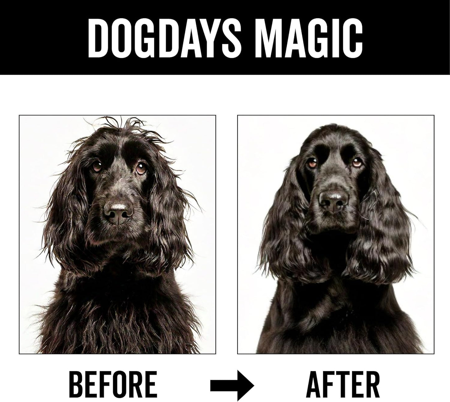 Pride and Groom DogDays Detangling Coat Spray for All Dogs | Conditioner & Detangler Spray for Shiny, Tangle-Free Fur | Hydrating & Repairing Formula with Fresh Scent | Made in USA – 16 fl oz