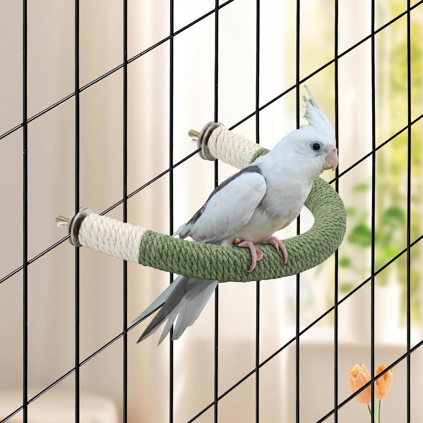 2 Pcs Bird Stand Perch U Shape Hemp Rope Green Wood Parrot Perches for Small Birds,Parakeets Macaw Cockatiels Conures Love Birds Finches,Bird Training Educational Stand Toys (Small-2 Pack)