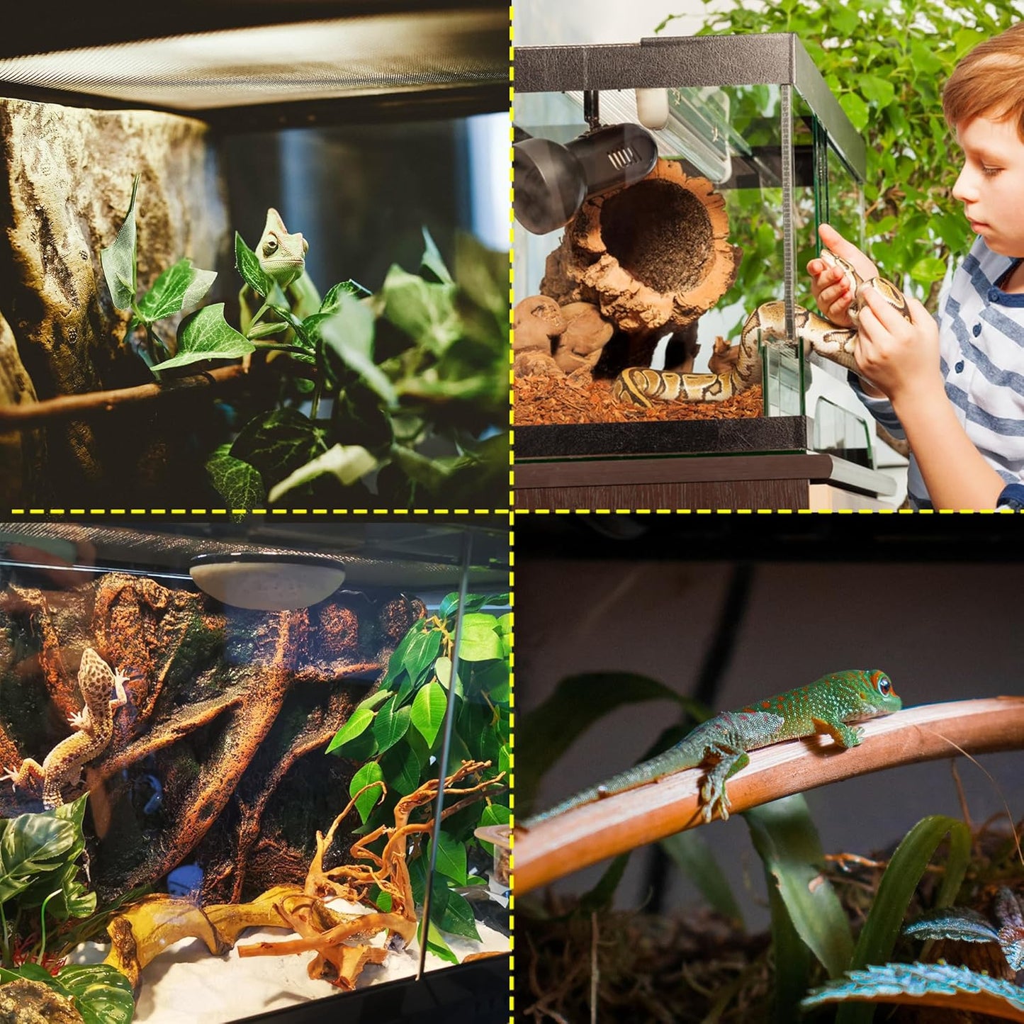 10 Gallon Professional Glass Terrarium 12"x12"x18" Durable Reptile Habitat Tank with Heat Resistant Aluminum Alloy Frame, Dual Front Swinging Doors for no Jam by Sand and Other Debris