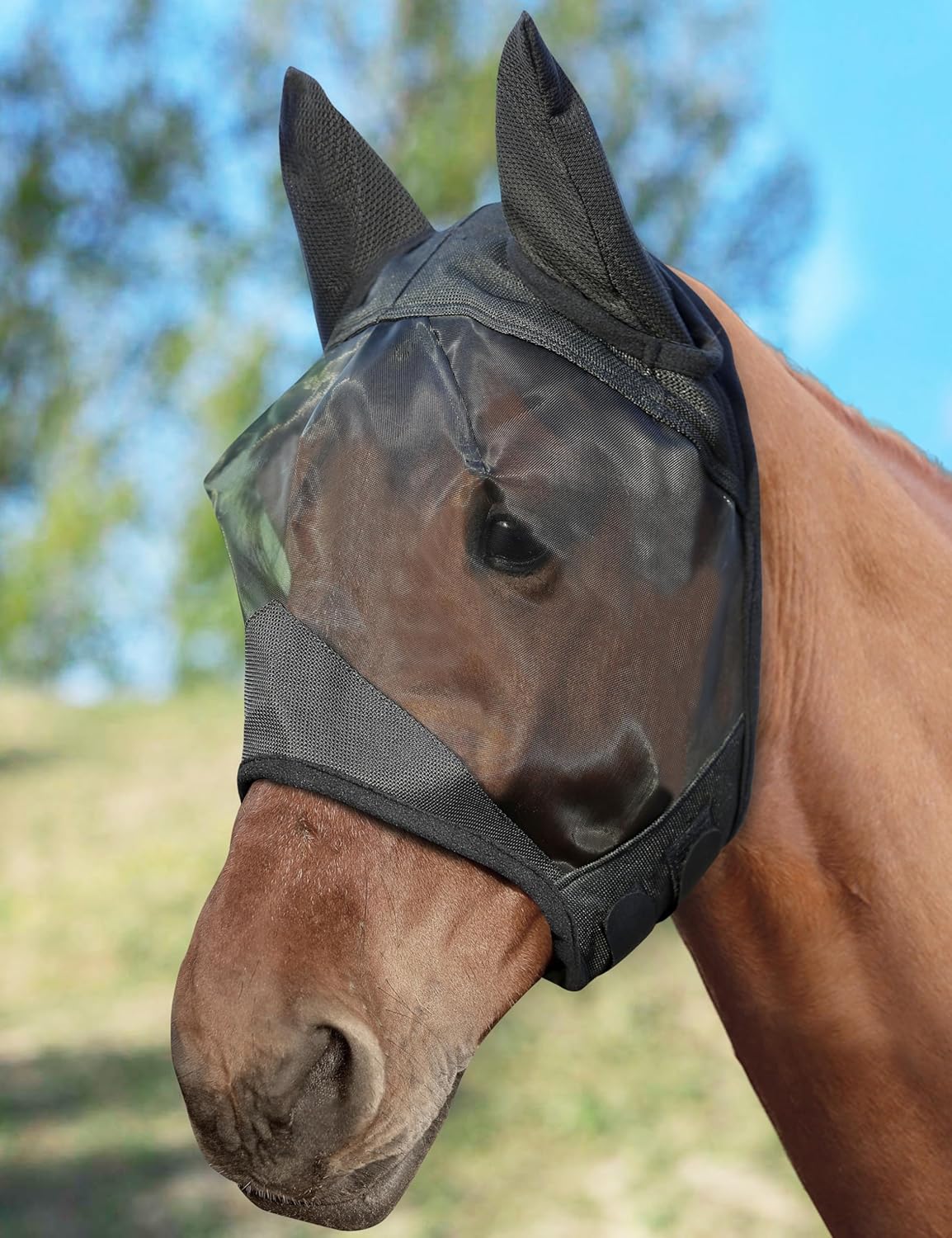 Horse Fly Mask Half Face with Ears, Full Face UV Protection for Horses, Breathable Fine Mesh Equine Fly Mask, M - Cob