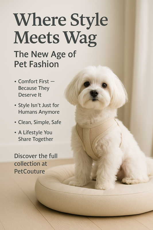 “Where Style Meets Wag: The New Age of Pet Fashion”