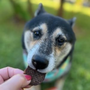 Farm To Pet - Dog Training Treats - 12 oz Beef Chips, Single Ingredient, Lean, All Natural, Healthy Dog Treats for Small, Medium, Large Breeds, & Puppies, Made in USA