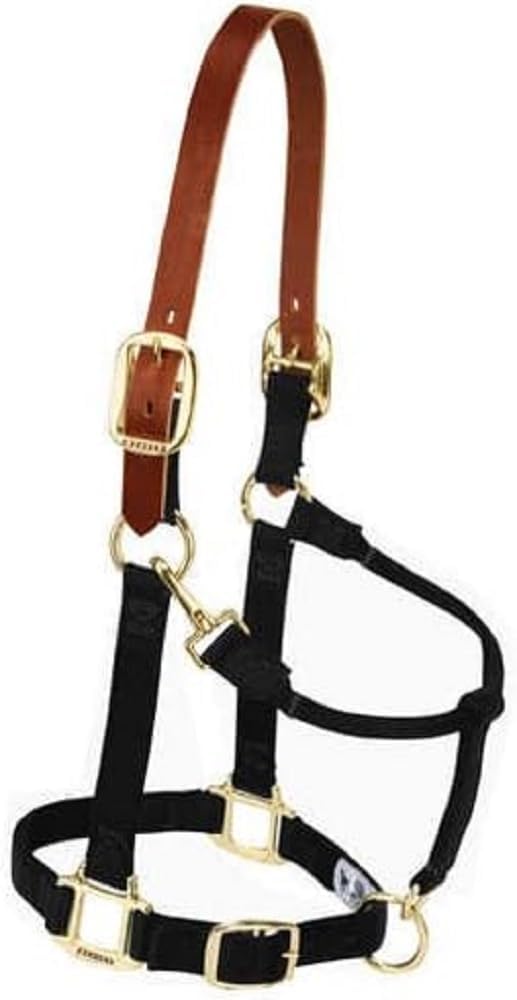 Weaver Equine Nylon Horse Halter, Triple-Ply Cheek Design, Original Non Adjustable Halters for Horses, Equine Tack,Average Size, Black