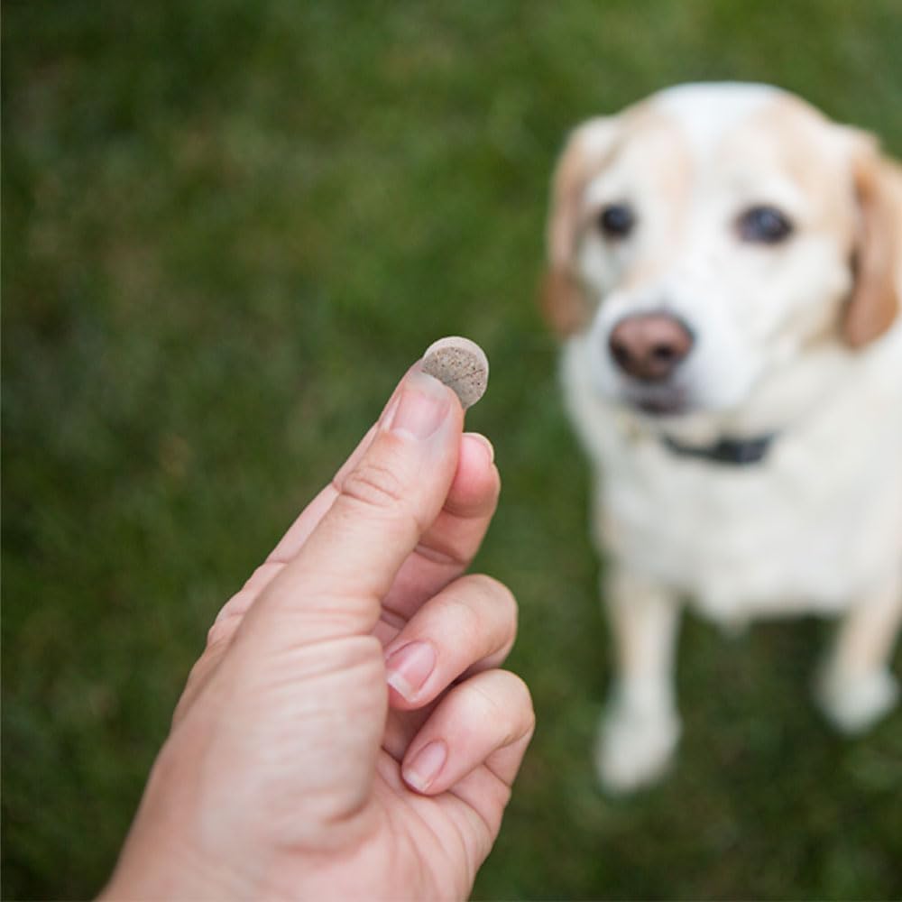 PHS Joint MAX Triple Strength (TS) Chewable Tablets for Dogs - Glucosamine, Chondroitin, MSM - Vitamins, and Antioxidants - Hip and Joint Pain Relief and Support Supplement - Made in USA - 120 Tablets