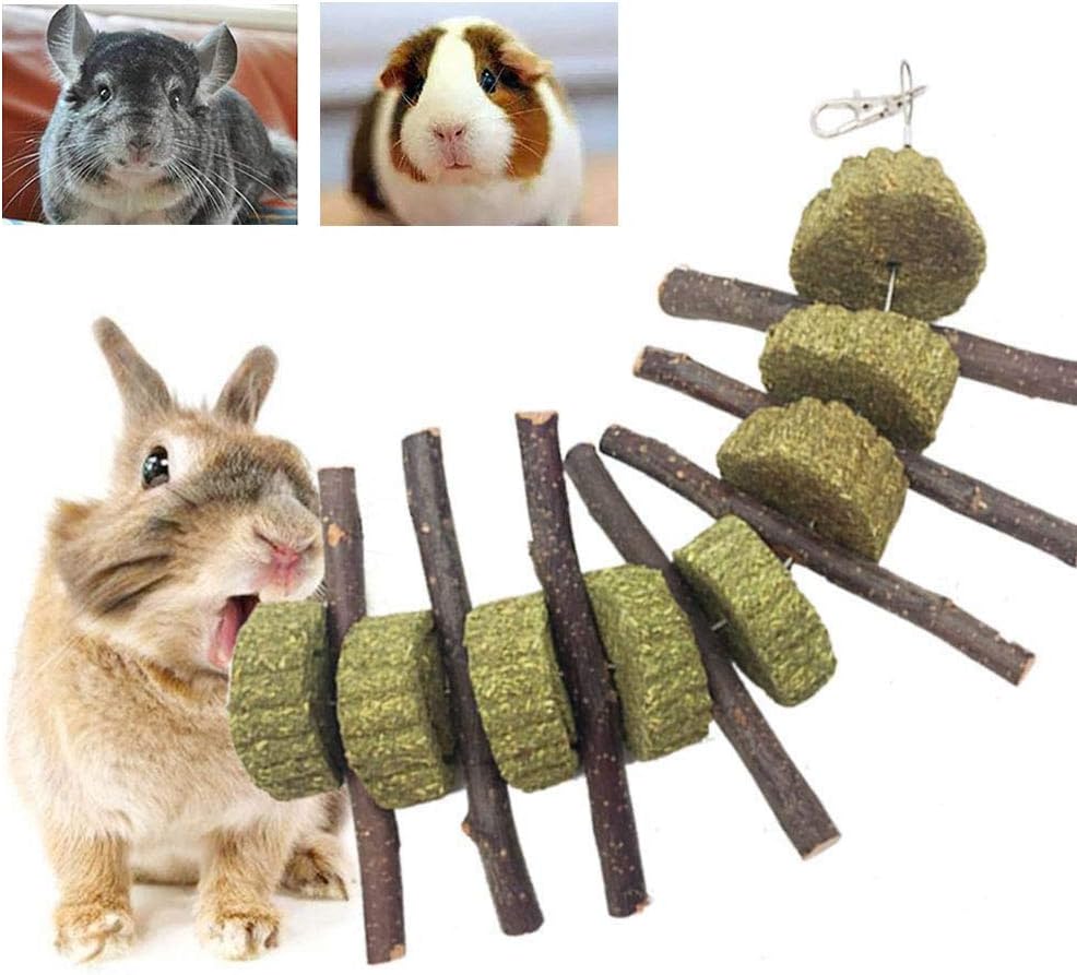 Bunny Chew Toys for Teeth, Organic Apple Wood Molar Sticks with Timothy Hay Circles for Bunny Chinchilla Guinea Pig Hamsters Holland Lop Prairie Dogs Squirrels Gerbils, Improves Dental Health