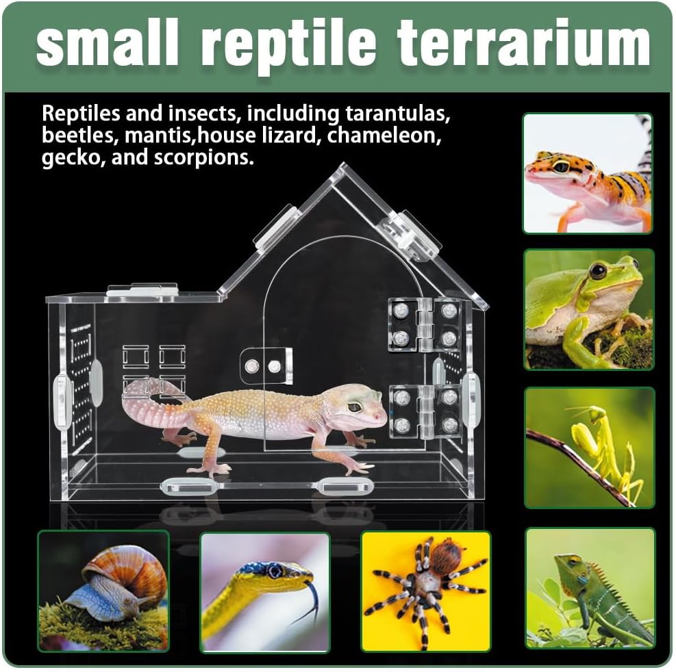 Acrylic Jumping Spider Enclosure - Versatile Reptile Enclosure with One-Click Magnetic Closure, Perfect for Tarantula, Gecko, Chameleon, Beetle, Mantis, and Hermit Crab