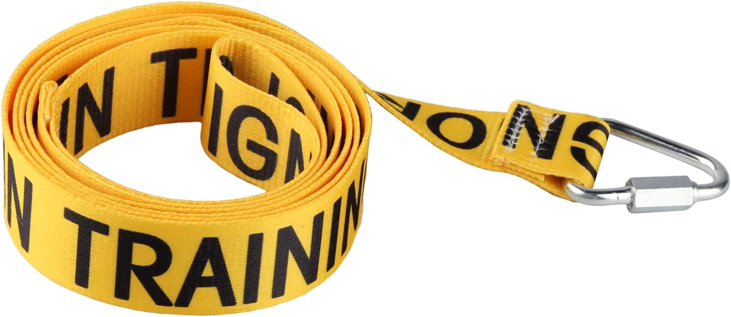 Funny Dog Leash for Training, Ignore & Walking - Owner & Pet Lover Gift (In Training Ignore-YE)