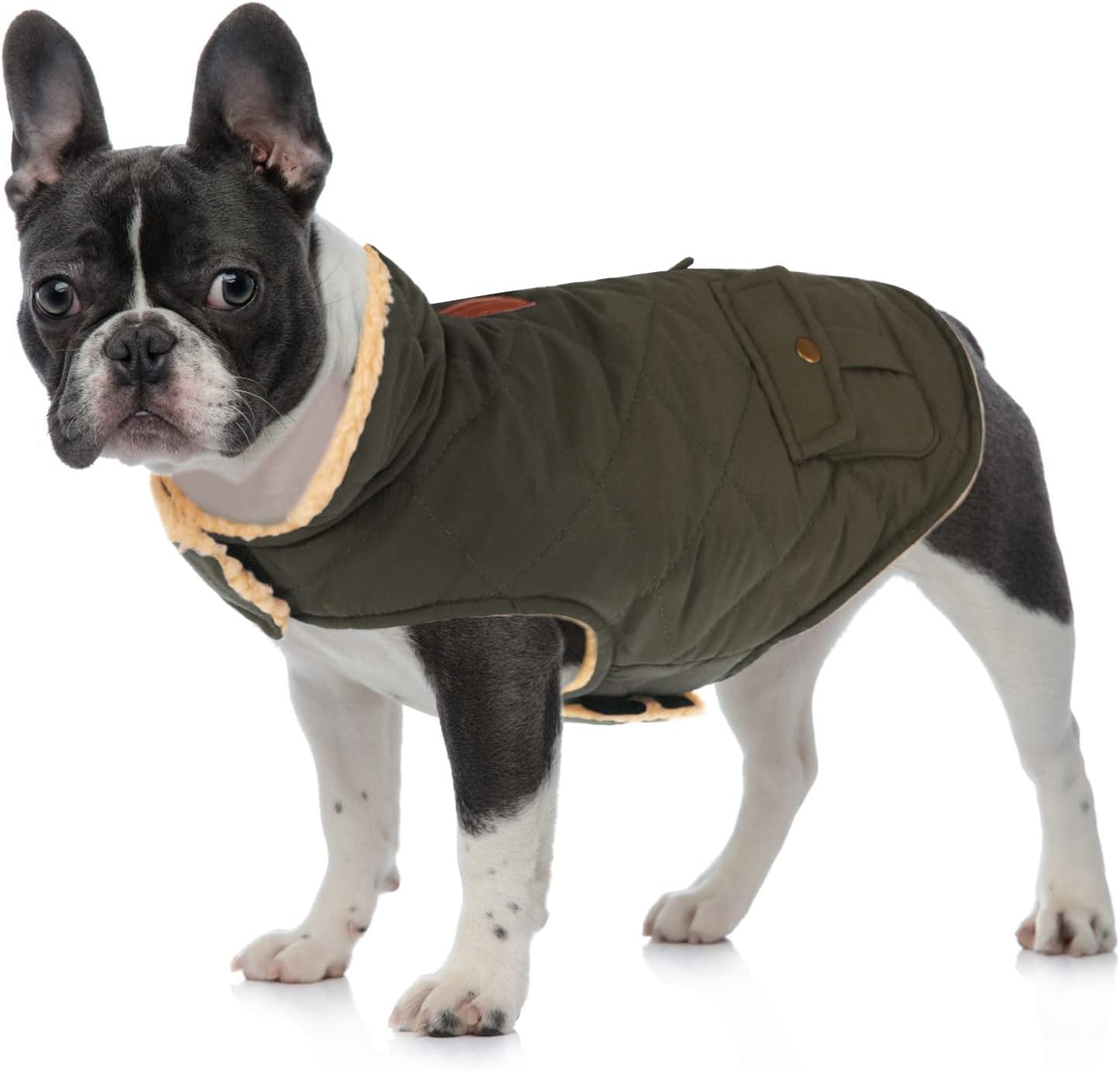 Queenmore Warm Puffer Dog Coat, Quilting Winter Jacket Ultra Thick Plush Lining with Storage Pockets (Green, X-Small)