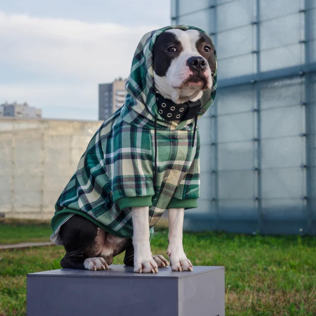 Spark Paws Dog Hoodie – Premium Dog Sweater for Small, Medium, and Large Dogs | Warm Outfits for French Bulldogs, Pitbull, Puppy, Winter Jacket Alternative - Green Plaid - S