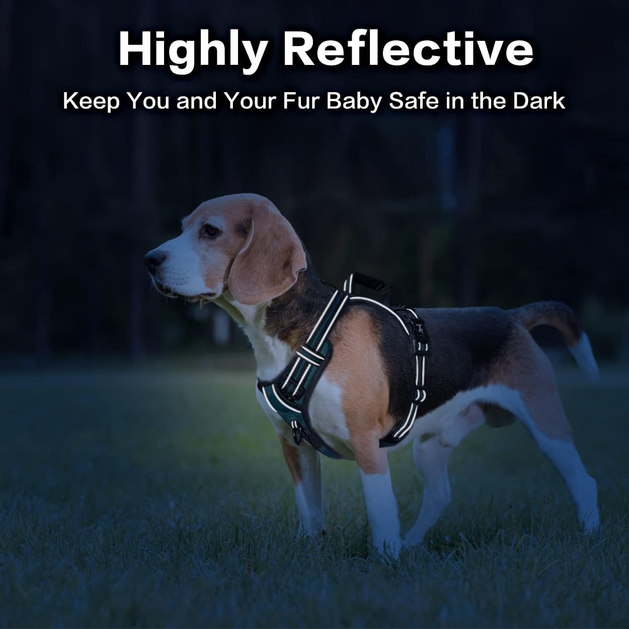 PoyPet No Pull Dog Harness, No Choke Front Clip Reflective Dog Vest with Soft Padded Vertical Handle, 3 Leash Attachments for Small Medium Large Dogs (Tumalo Teal,S)