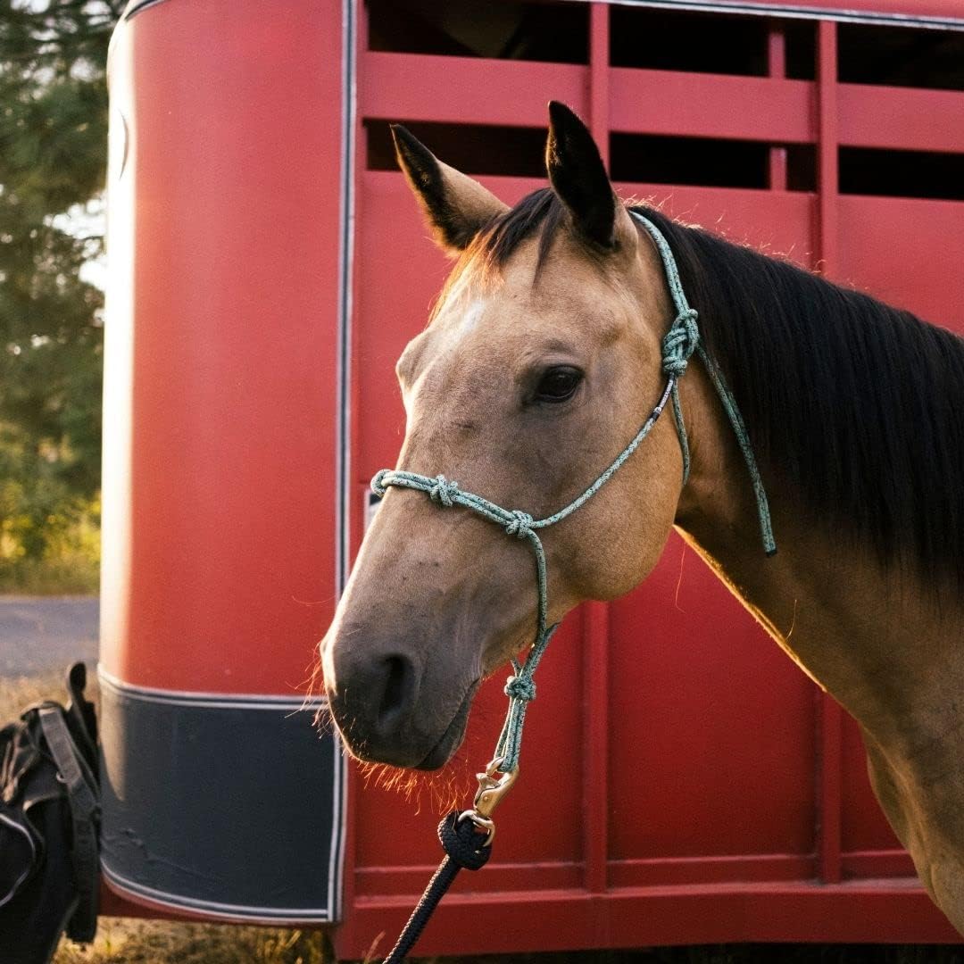 Horse Rope Training Halter - 4 Knot 1/4" Stiff Halter Cord - Used by Famous Trainers Multiple Sizes Multiple Colors