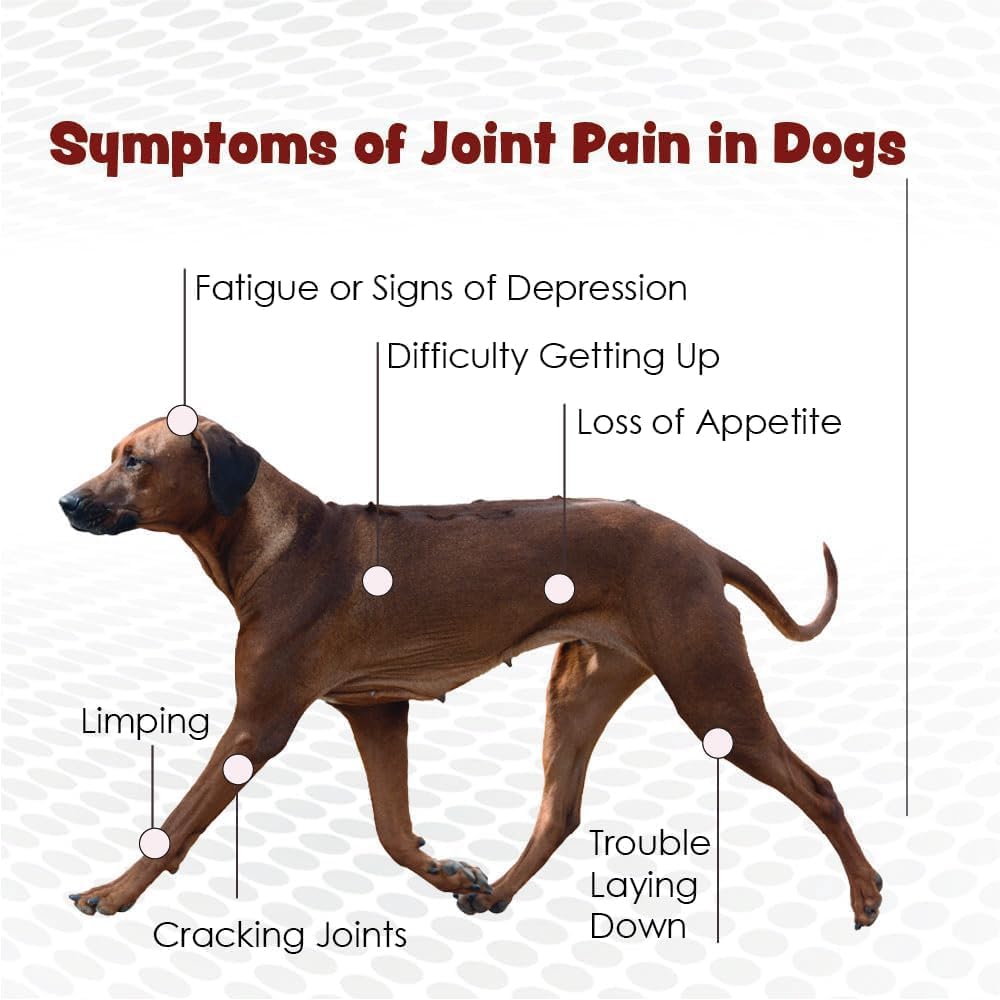 TS Joint Supplement Vet Formulated Pain & Inflammation Relief Treats Hip Dysplasia & Arthritis.Glucosamine, Chondroitin, Turmeric, MSM, HA, Creatine, Omega 3 EPA+DHA. All Dogs 240 Soft Chews