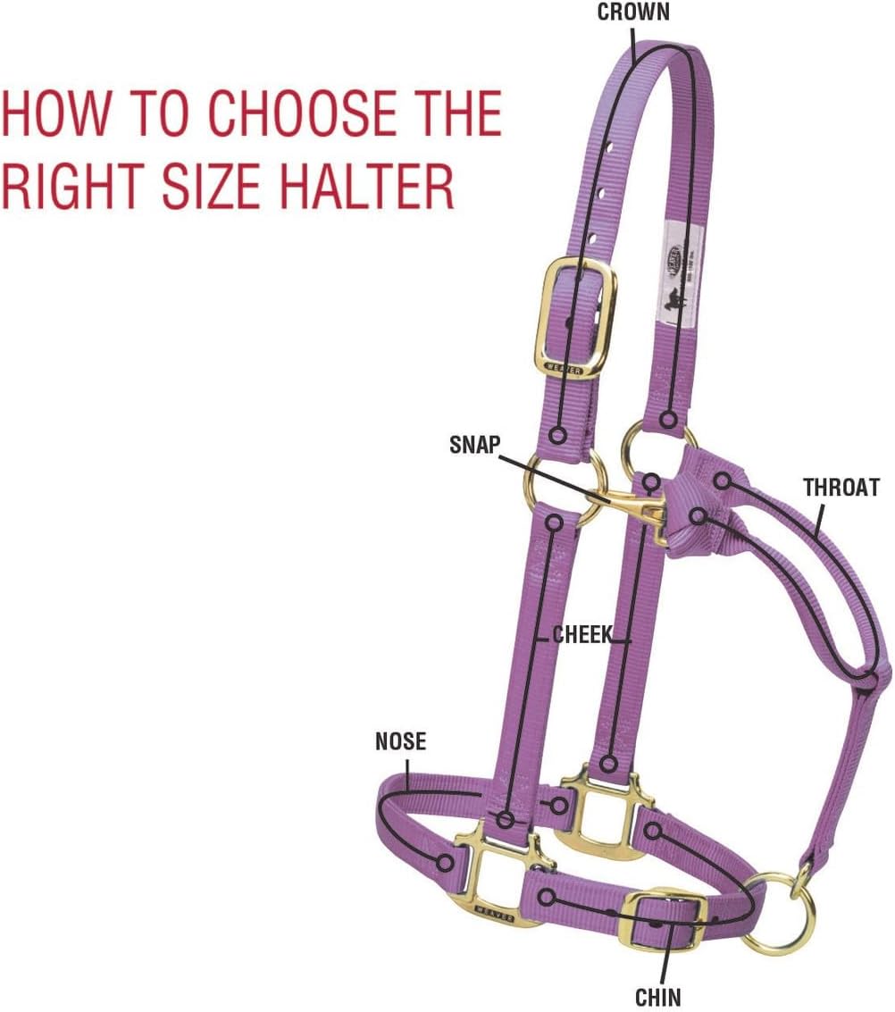 Weaver Equine Nylon Horse Halter, Triple-Ply Cheek Design, Original Non Adjustable Halters for Horses, Equine Tack,Average Size, Black