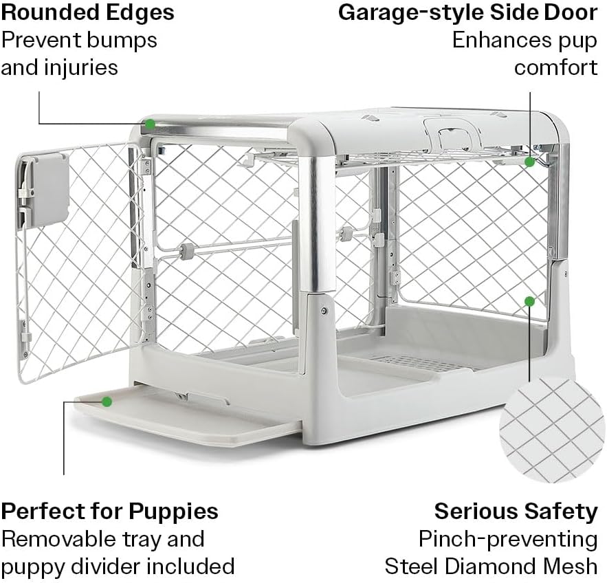 DIGGS Revol Collapsible Dog Crate with Wheels - Premium Portable Dog Crate - Safe, Stylish, and Convenient Indoor Kennel (Ash, Small)