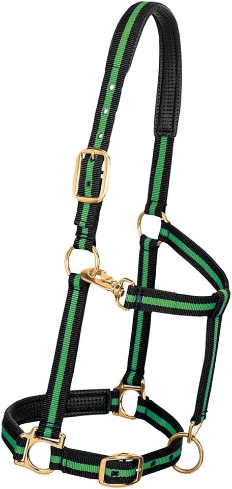 Weaver Equine Nylon Horse Halter, Triple-Ply Cheek Design, Original Non Adjustable Halters for Horses, Equine Tack,Average Size, Black