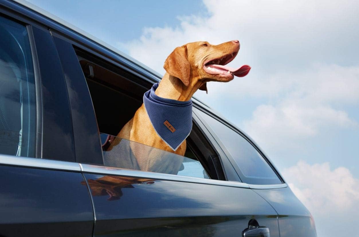 Lionet Paws Dog Bandana for Small Medium Large Dogs, Cat Kerchief Blue DOIT, Triangle Bibs Scarf for Girl or Boy