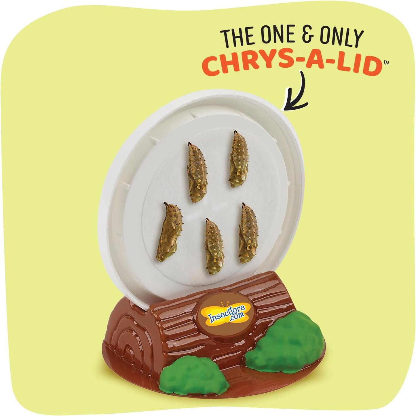 Insect Lore Butterfly Garden Kit – 10 Live Caterpillars, Habitat, STEM Journal, 2 Chrys-a-lid Holding Logs & Feeder – Grow & Release Painted Lady Butterflies – Educational Science Toy