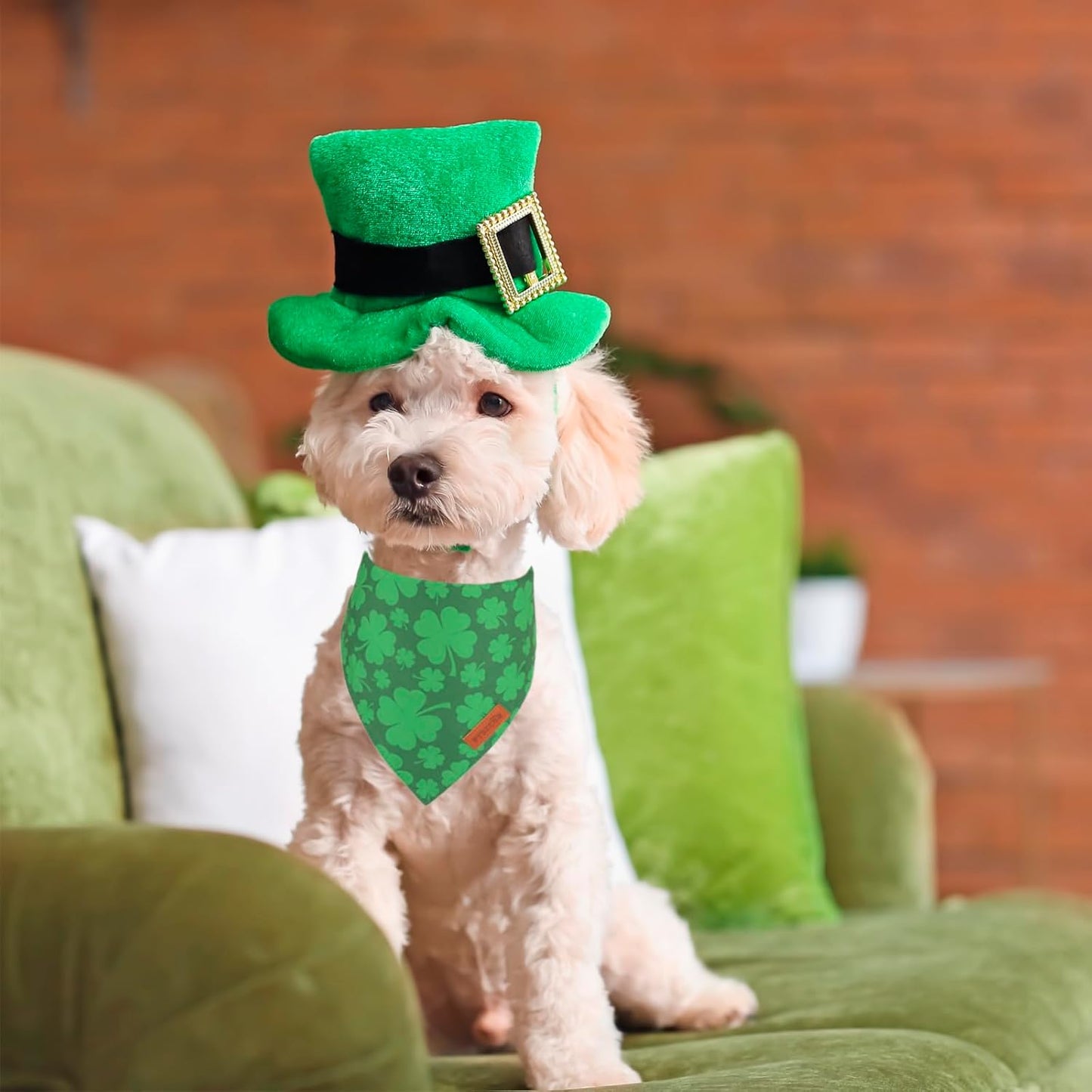 PTDECOR St. Patrick's Day Dog Bandana, Reversible Dog Scarf, Multi Size Offered, Green Shamrock Pet Bandanas for Small Dogs Pets (St. Patrick's Day, Small)