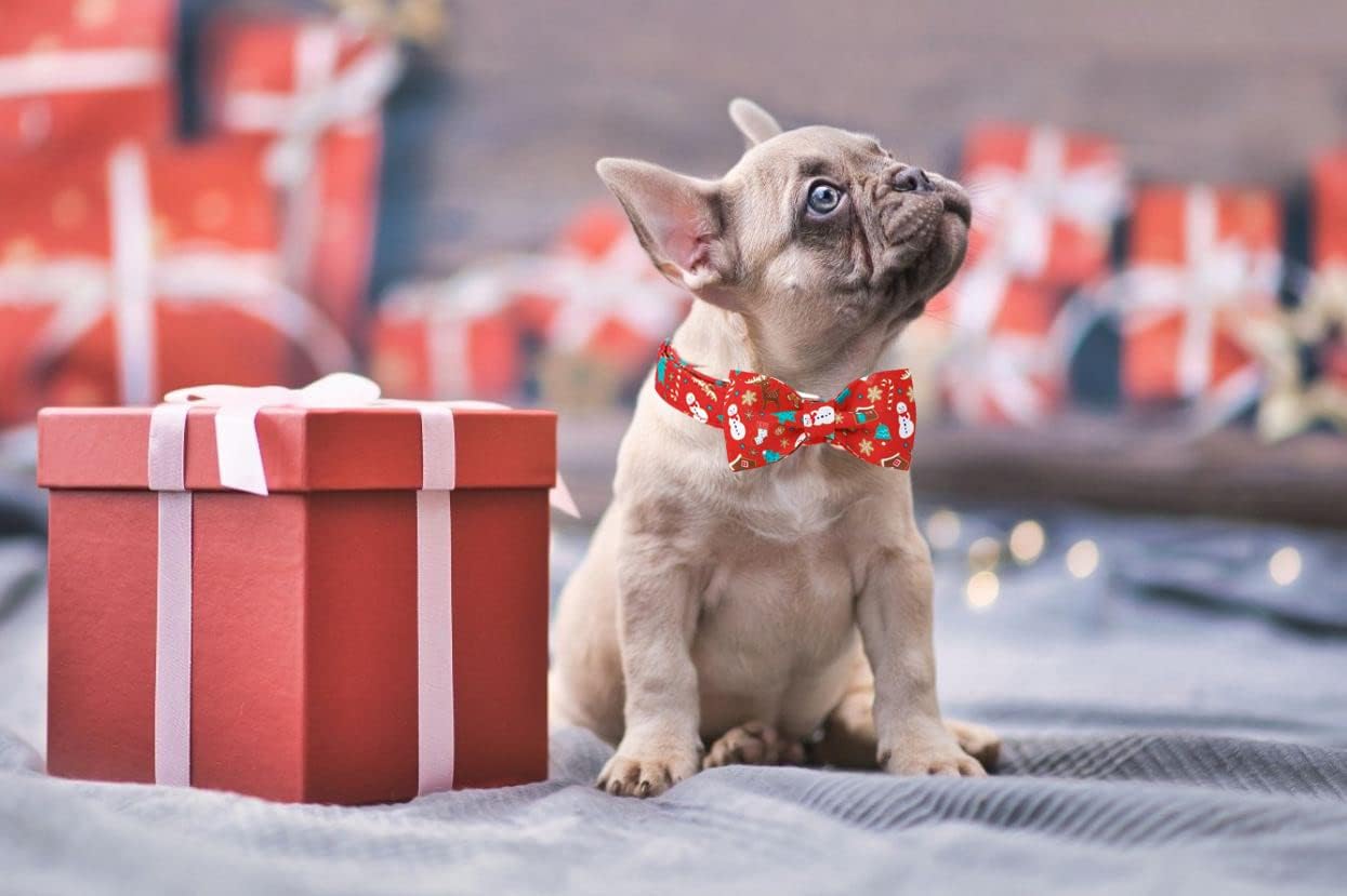 Lionet Paws Christmas Dog Collar with Bowtie, Dog Bowtie Collar with Metal Buckle for Dogs, Adjustable Comfortable Dog Collar Girl Boy Gift, M, Neck 13.5-22 in