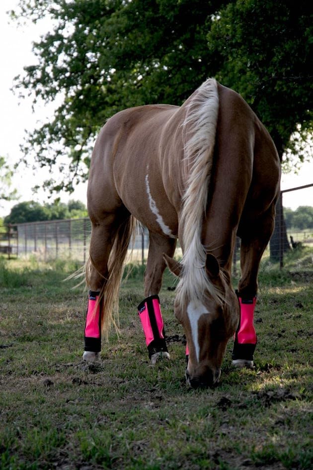 Warrior Fly Boots for Horses - Breathable Mesh Horse Boots for Fly Protection & Leg Comfort - Set of 4 (Knight Warrior, Neon Pink)