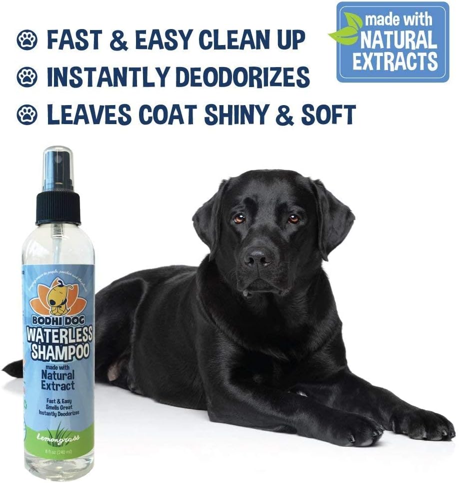 Bodhi Dog Waterless Shampoo for Dogs & Cats - Natural Dry Shampoo, Neutralizes Odor, No Rinse Needed, Safe for All Breeds - Made in USA - Lemongrass Scent (8 Fl Oz)