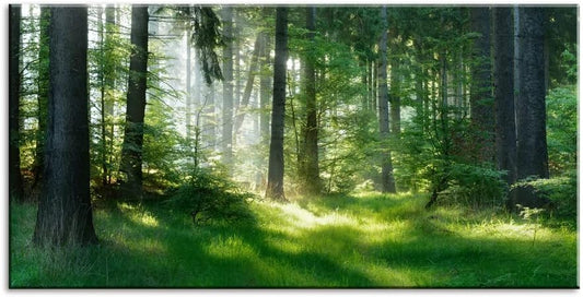 Morning Sunlight Forest Large Stretched Canvas Wall Art for Living Room Bedroom Home,Mordern Woods Scenery Picture Print Painting Decor Artwork,Green Landscape Gallery Wrapped Gift,Inner Frame(24x48)