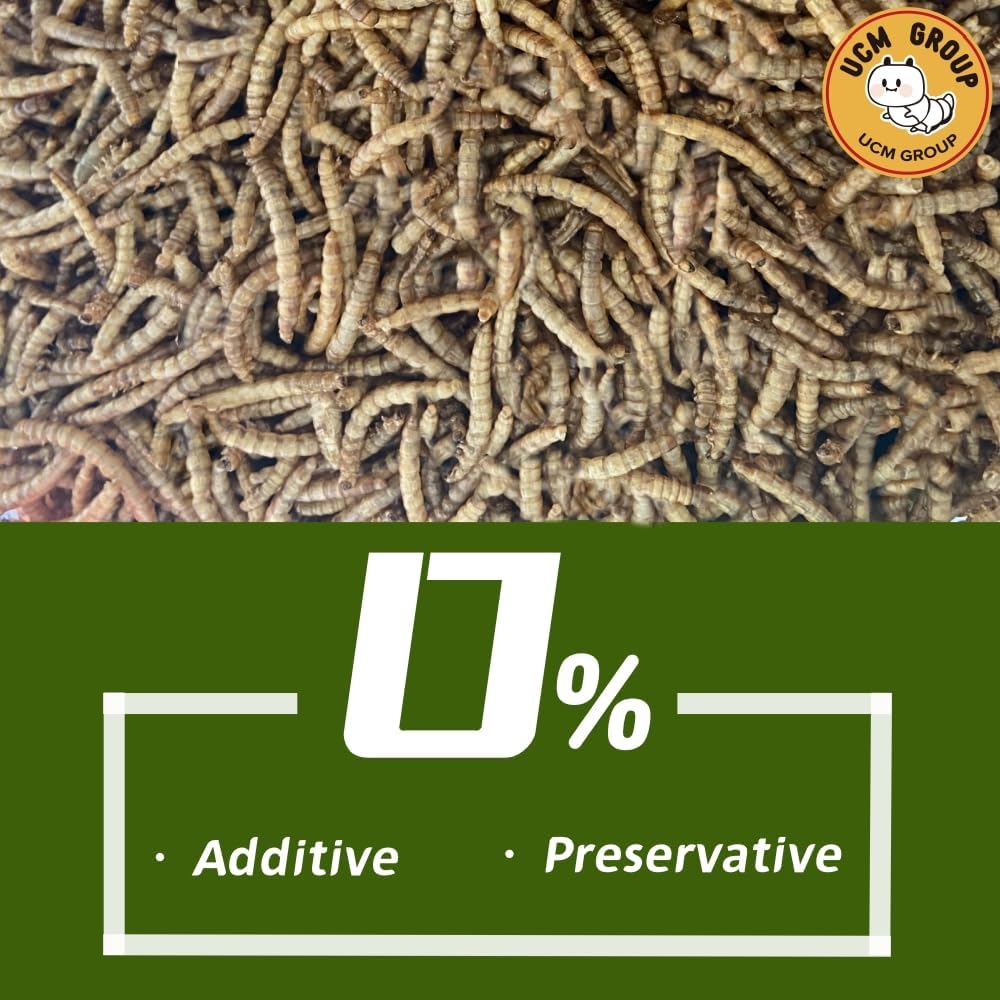 UCM Group 5LB Dried mealworms for Wild Birds, Chickens, High Protein Organic Chicken Feed, 100% Non-GMO for Chickens, Ducks, Turtles and Reptiles