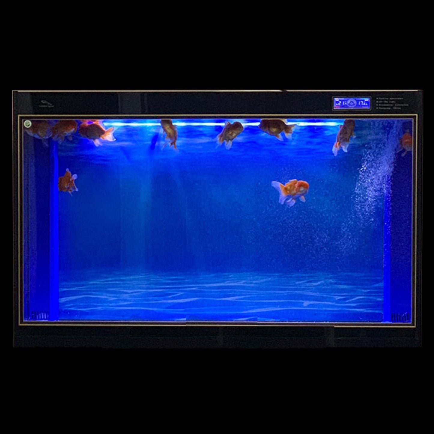 ELEBOX Aquarium Background Blue Black Fish Tank Background Wallpaper Double-Sided Aquarium Backing, Aquarium Decorations for 10 Gallon 20 Gallon Aquarium 11.8" x 24.4"