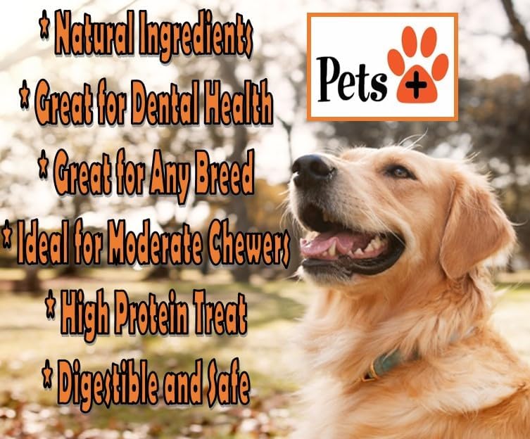 Pets Plus Beef Gullet Jerky Dog Treats – Medium Size, 6-Inch, 8-Pack – All Natural, High Protein, Grain-Free Chews for Dogs, Easily Digestible, Great for Dental Health & Joint Support