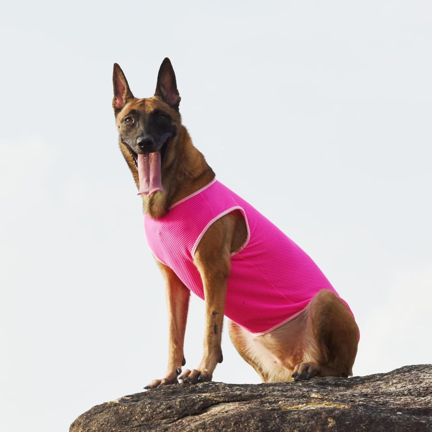 2 Pack Cooling Shirts for Dogs, Breathable Lightweight Dog Shirts for Small Dogs Girl, Sleeveless Sun Protection Shirts for Dog&Cat Puppy Vest Pet Apparel