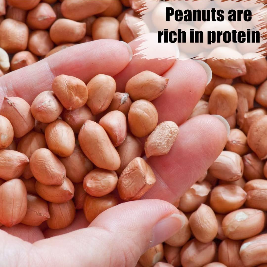 Old Potters Wildlife Shelled Peanuts, 10 lbs for Birds, Squirrels, and Wildlife. USA Grown Non-GMO, Organic Small Farm, Raw Shelled Peanuts. Wildlife Grade.