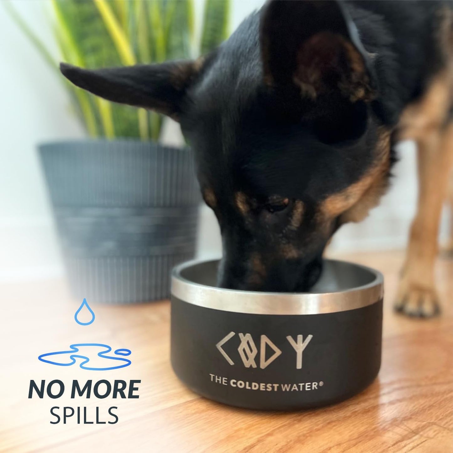 Coldest Dog Bowl - Anti Rust Metal, Non Slip, 3 Layers Insulated Stainless Steel Dog Bowls - Spill Proof & Heavy Duty - Water Bowl for Dogs, Cats & Pets, Dish Washer Safe (64 oz, Stealth Black)